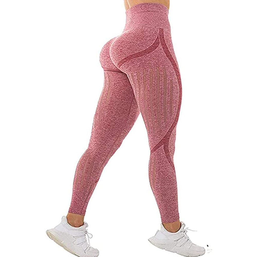 Women Seamless Leggings And Crop Tops.