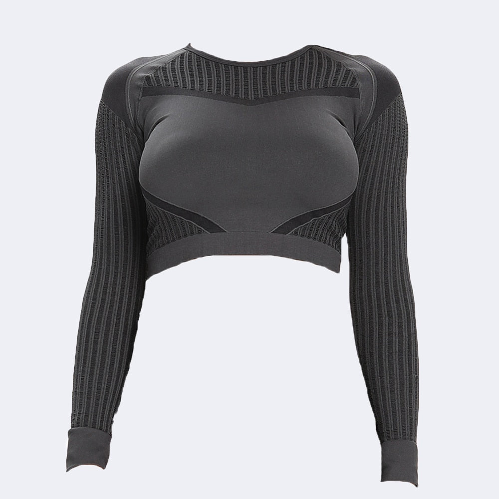 Women Seamless 2Pcs Long Sleeve Crop Top And Leggings