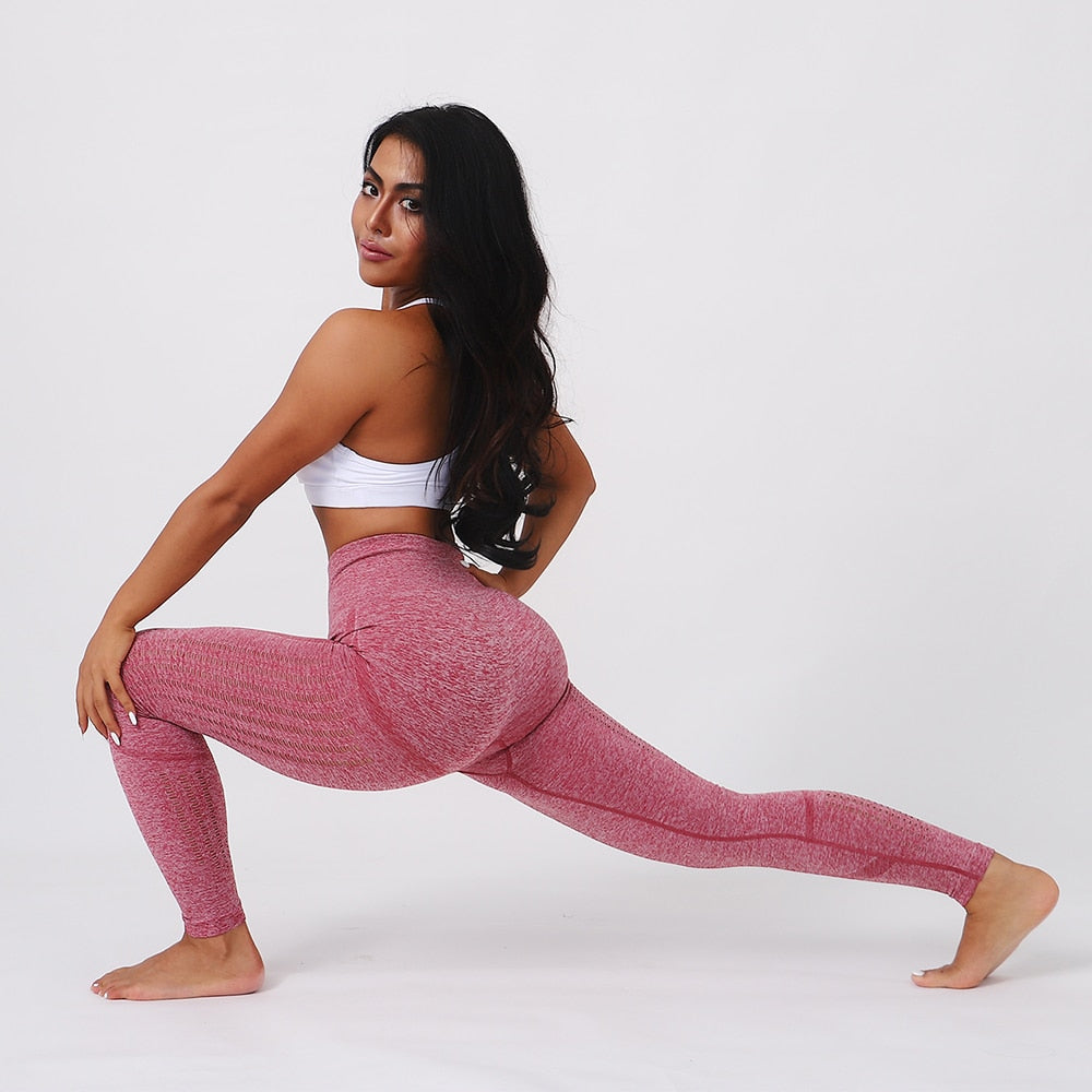 Women Seamless Leggings And Crop Tops.